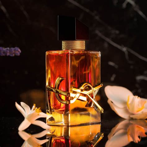 ysl fragrantica